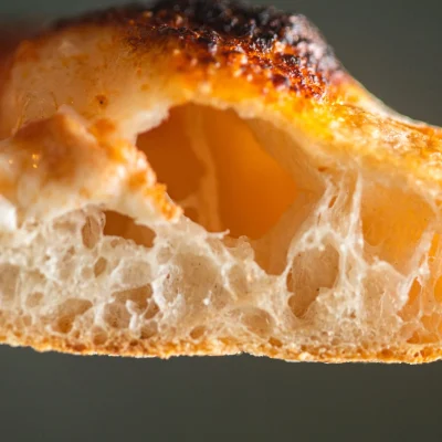Cold Ferment Pizza Dough
